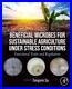 Tongmin Sa Beneficial Microbes for Sustainable Agriculture under Str (Paperback)