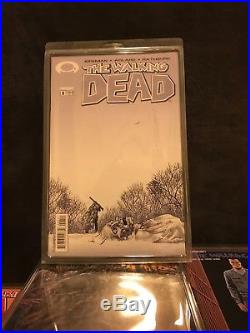 Walking Dead Comic Book Lot